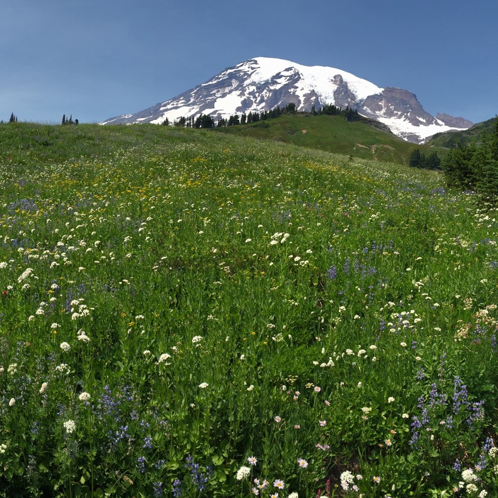 Meet your Posher, Landon
